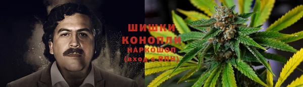 apvp Заволжье