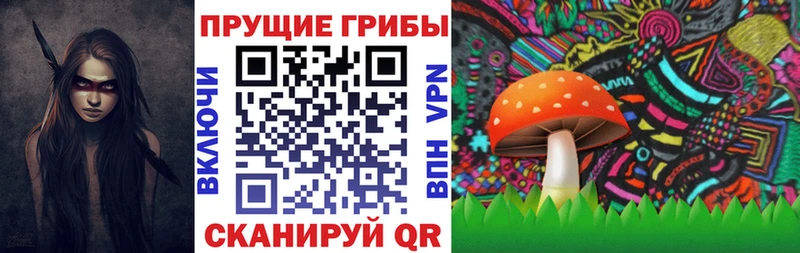 Галлюциногенные грибы Cubensis  Купить закладки  Опочка 